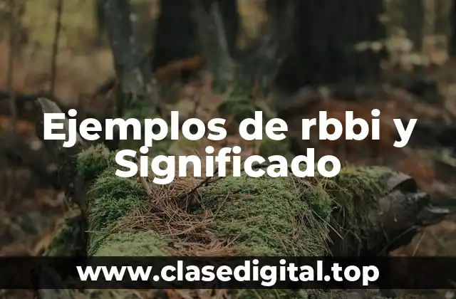 Ejemplos de rbbi y Significado