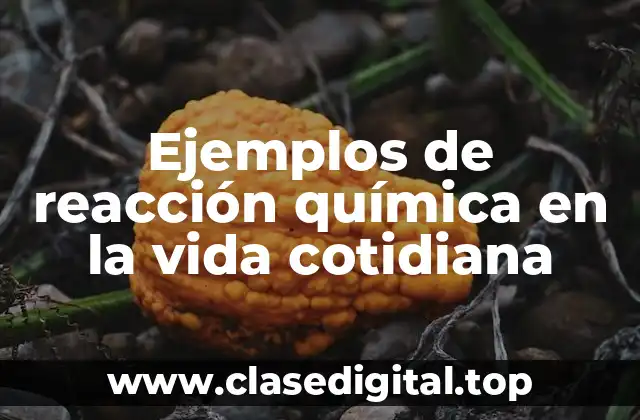 Ejemplos de reacciones químicas en la vida cotidiana