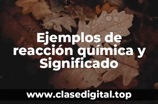 Ejemplos de reacción química y Significado