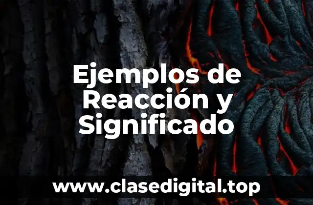Ejemplos de Reacción y Significado