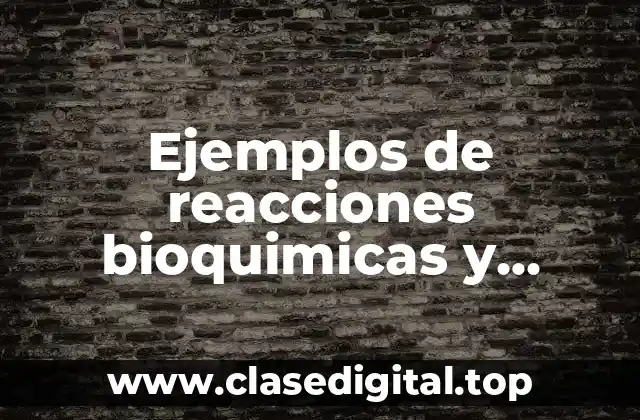 Ejemplos de reacciones bioquimicas y Significado