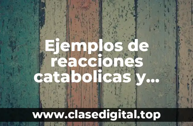 Ejemplos de reacciones catabolicas y anabolicas en la vida diaria y Significado