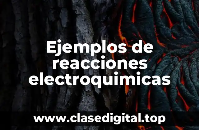 Ejemplos de reacciones electroquimicas