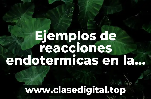 Ejemplos de reacciones endotermicas en la vida diaria