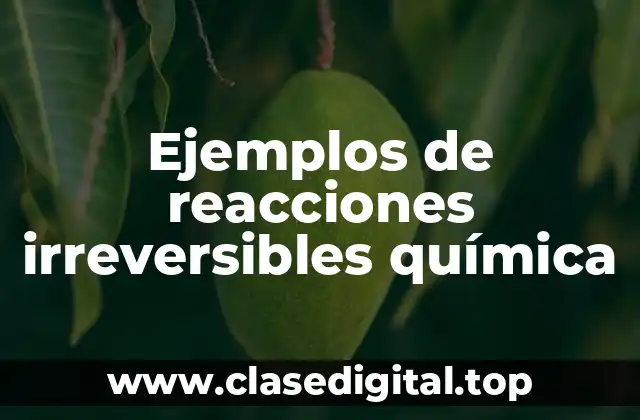 Ejemplos de reacciones irreversibles química