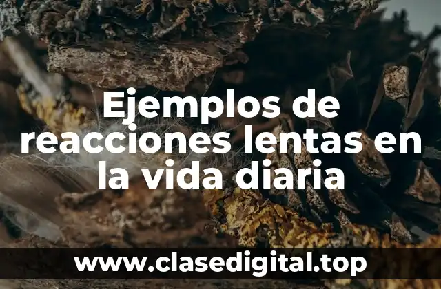 Ejemplos de reacciones lentas en la vida diaria