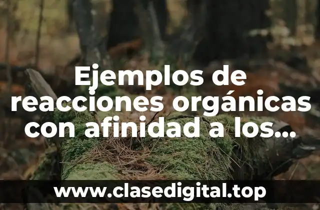 Ejemplos de reacciones orgánicas con afinidad a los catalizadores metálicos y Significado