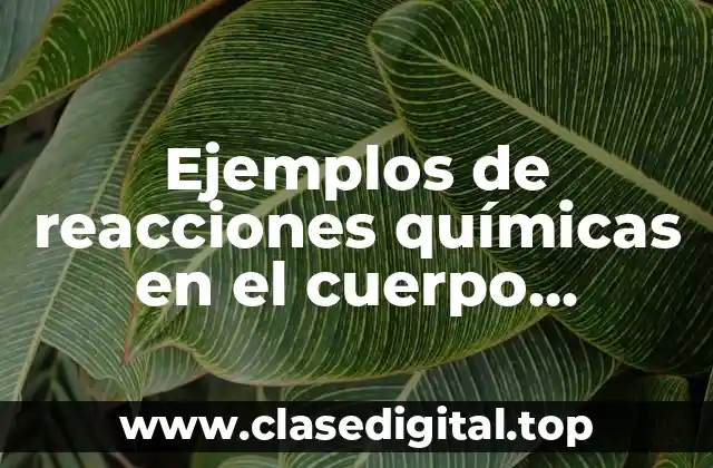 Ejemplos de reacciones químicas en el cuerpo humano