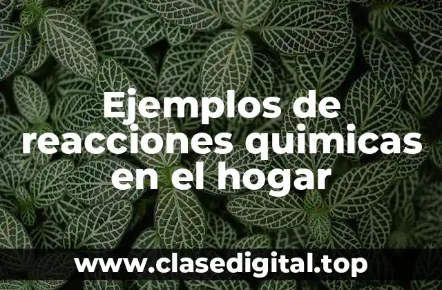 Ejemplos de reacciones quimicas en el hogar