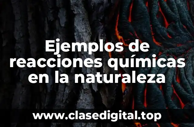 Ejemplos de reacciones químicas en la naturaleza