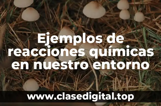 Ejemplos de reacciones químicas en nuestro entorno