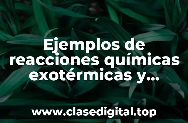 Ejemplos de reacciones químicas exotérmicas y endotérmicas