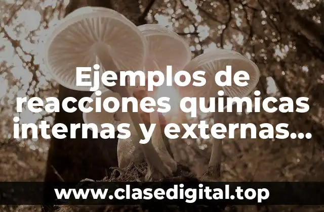 Ejemplos de reacciones quimicas internas y externas de un organismo