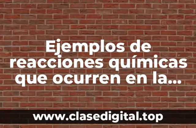 Ejemplos de reacciones químicas que ocurren en la cocina