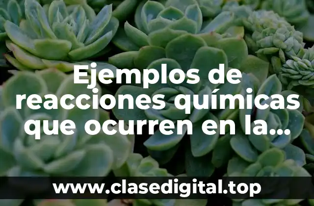 Ejemplos de reacciones químicas que ocurren en la vida cotidiana y Significado