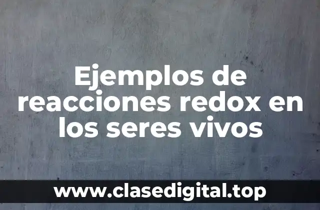 Ejemplos de reacciones redox en los seres vivos