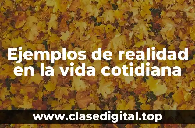 Ejemplos de realidad en la vida cotidiana
