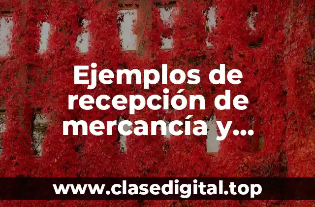 Ejemplos de recepción de mercancía y Significado