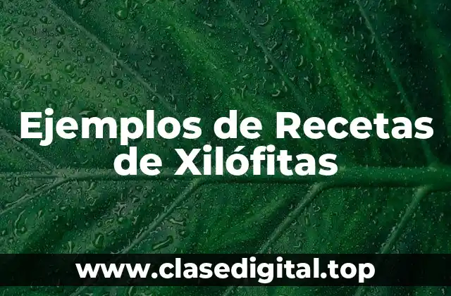 Ejemplos de Recetas de Xilófitas