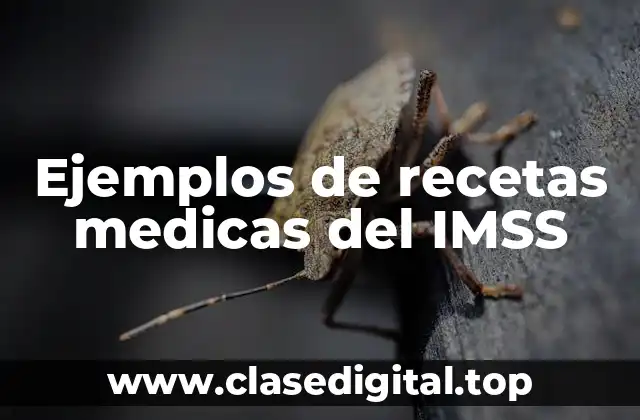 Ejemplos de recetas medicas del IMSS