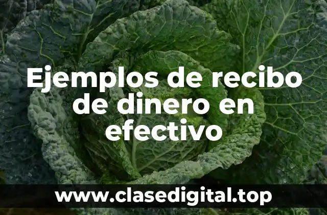 Ejemplos de recibo de dinero en efectivo