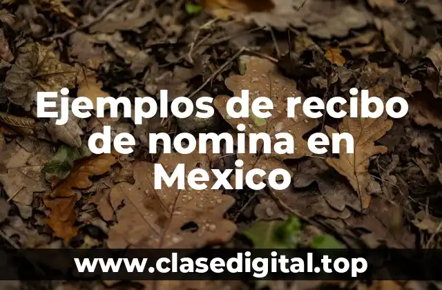 Ejemplos de recibo de nomina en Mexico
