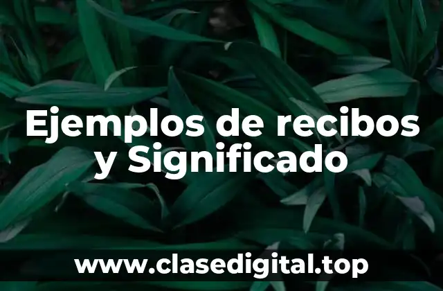 Ejemplos de recibos y Significado