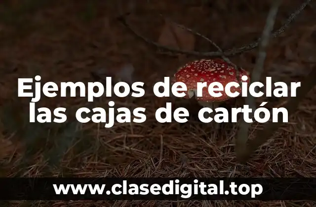 Ejemplos de reciclar las cajas de cartón
