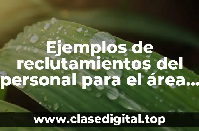 Ejemplos de reclutamientos del personal para el área de bar