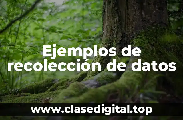 Ejemplos de recolección de datos