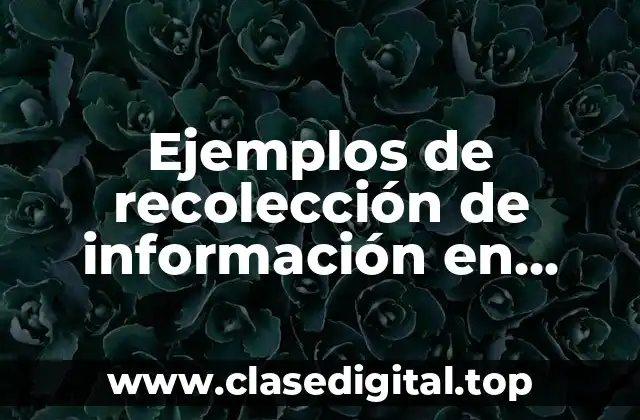 Ejemplos de recolección de información en censo