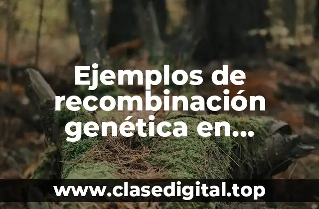 Ejemplos de recombinación genética en animales