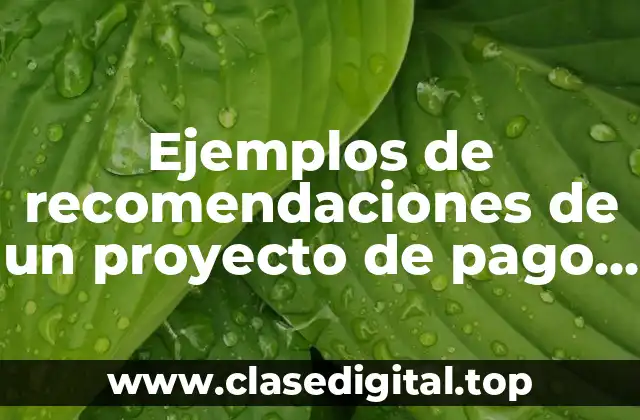 Ejemplos de recomendaciones de un proyecto de pago a proveedores