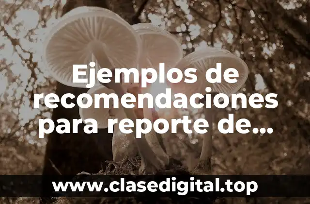 Ejemplos de recomendaciones para reporte de residencias profesionales