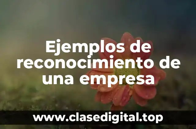 Ejemplos de reconocimiento de una empresa