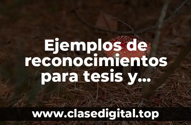 Ejemplos de reconocimientos para tesis y Significado
