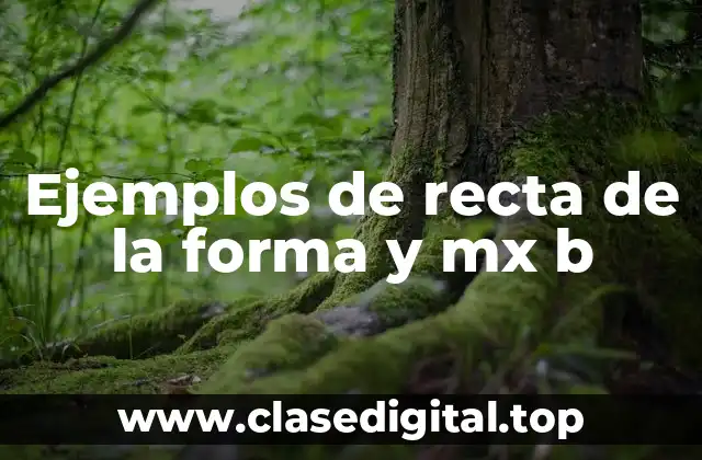 Ejemplos de recta de la forma y mx b