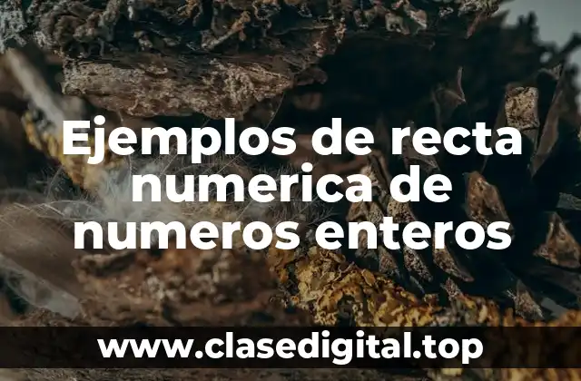 Ejemplos de recta numerica de numeros enteros