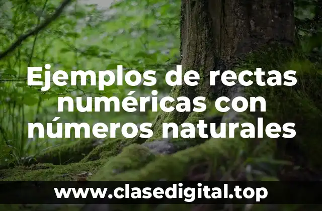 Ejemplos de rectas numéricas con números naturales