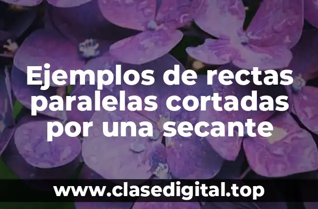 Ejemplos de rectas paralelas cortadas por una secante