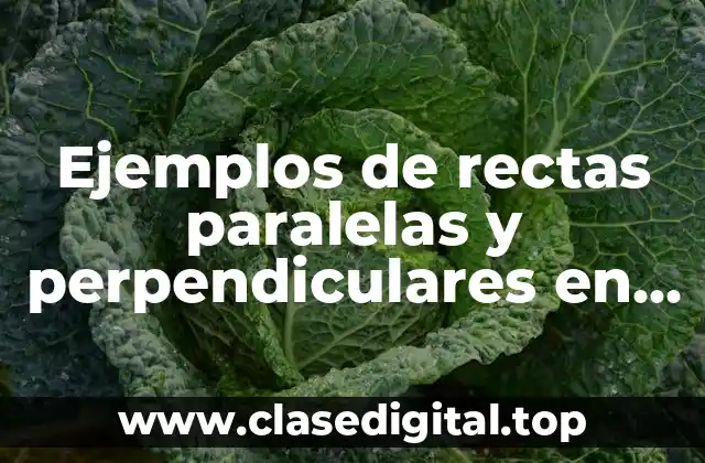 Ejemplos de rectas paralelas y perpendiculares en la vida cotidiana