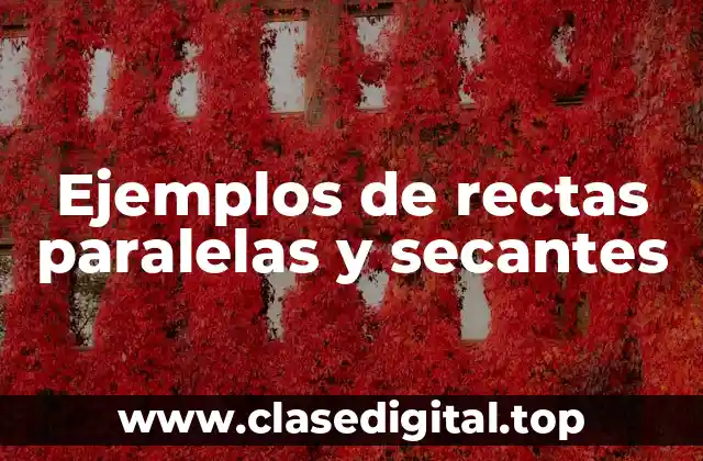 Ejemplos de rectas paralelas y secantes