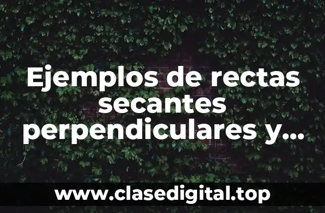 Ejemplos de rectas secantes perpendiculares y paralelas