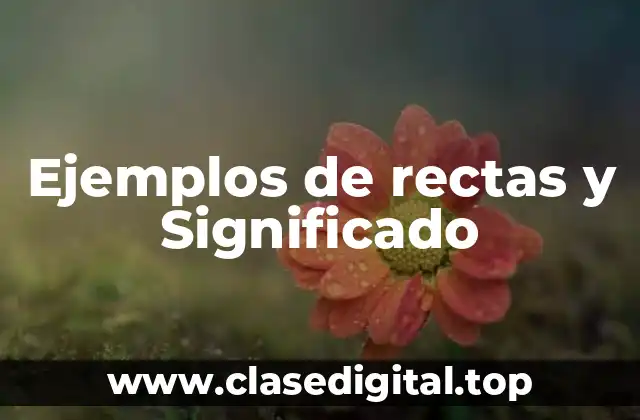 Ejemplos de rectas y Significado