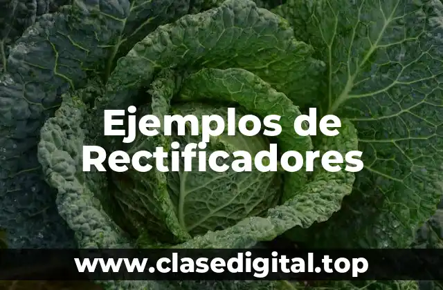 Ejemplos de Rectificadores