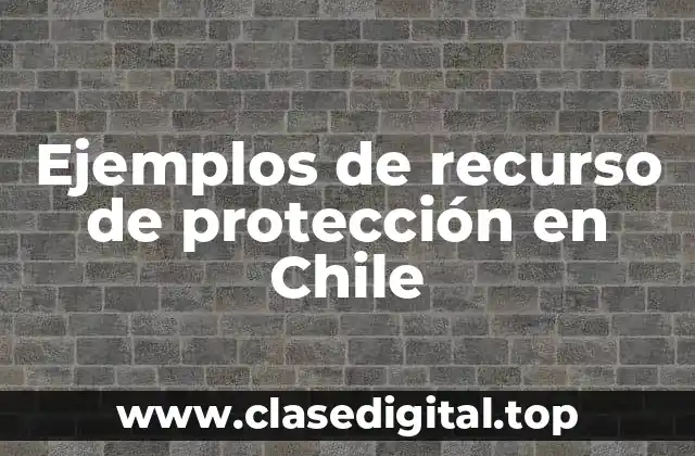 Ejemplos de recursos de protección en Chile