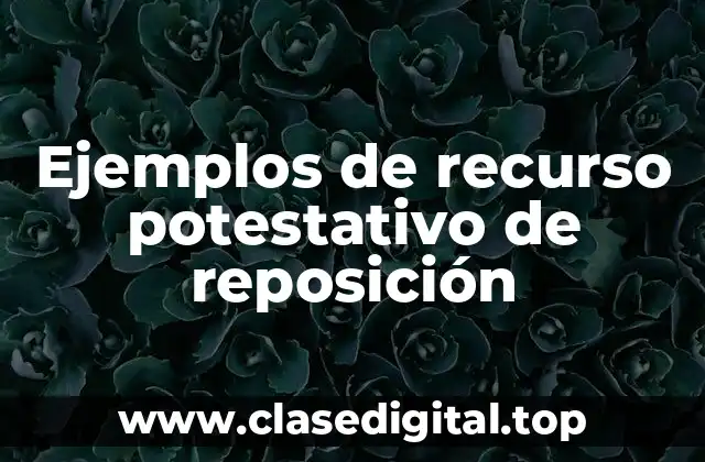 Ejemplos de recurso potestativo de reposición