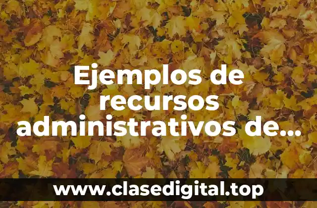 Ejemplos de recursos administrativos de una empresa