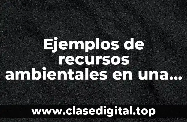 Ejemplos de recursos ambientales en una empresa y Significado