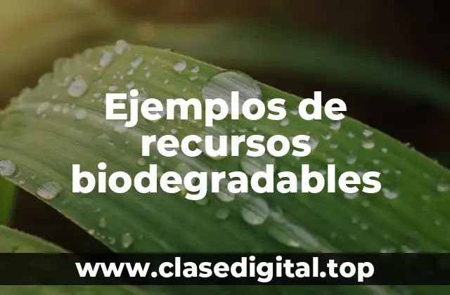 Ejemplos de recursos biodegradables